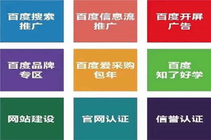 百度推广与SEO结合案例：提升网站排名的技巧